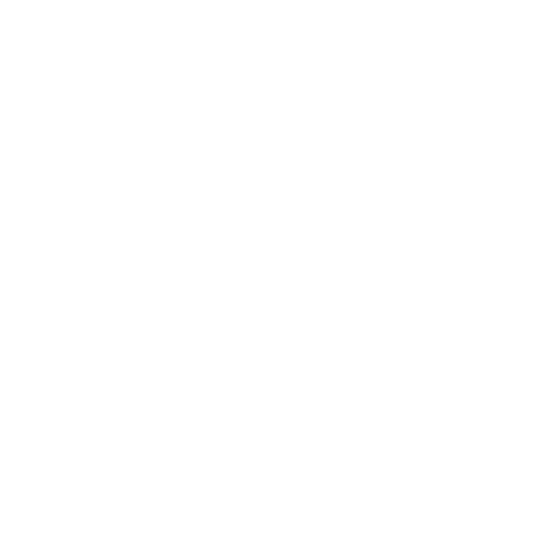 logo ANIMATION JEUX EN BOIS